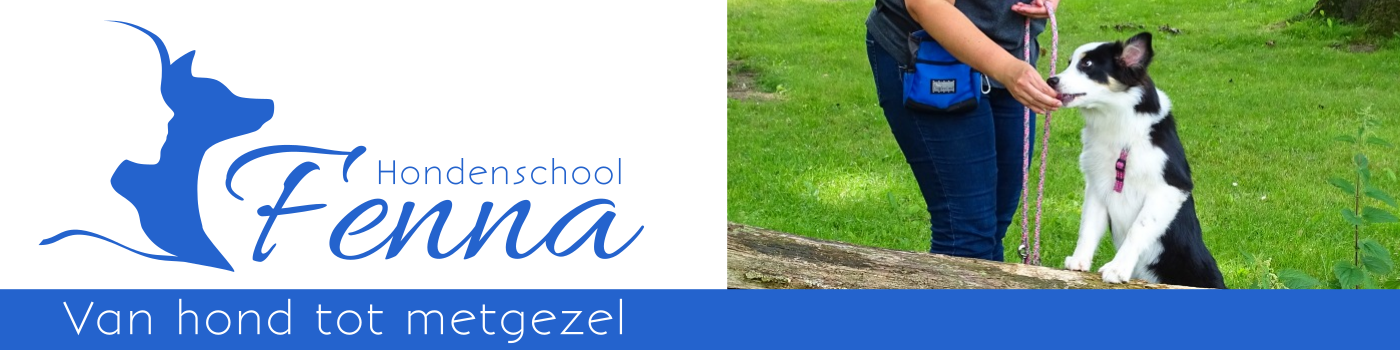 Hondenschool Fenna